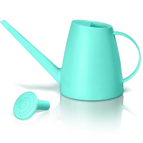 Image of Plastic Watering Can - for Home Plant Garden - 1 /2 Gallon - SkyBlue