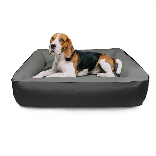 Coussin de chien BedDog Max Quattro soulage les articulations taille L - 5
