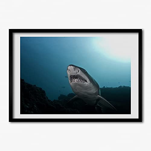 Cadre MDF Peinture 70x50 cm Gros Requin - Tableau en Bois Décoratif Moderne Tulup