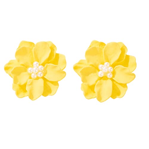 1yÂ߂̑傫ȔF̃JẢԂ̃CO