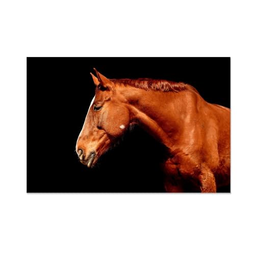 Toile cheval sauvage noir et blanc impression d'art premium décoration murale 70x105