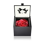 AMOROSA アモローサ プリザーブドフラワー ダイヤモンドローズボックス85 ディズニー I love you ブライトレッド バラ ギフト 花 誕生日 結婚 記念日 プロポーズ ドライフラワー DS85LOV