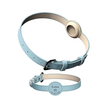 Coleira Para Rastreador Airtag Gps Cachorro Caes Pet Personalizada Com Nome E Telefone Identificação (Azul Celeste, P)
