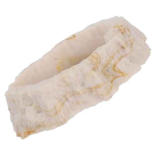 FONDOTIN ͑i  ʊ X a ঒ M qQgJQ  ANZT[   {E wr  M ঒ a  {E Gr a M hJ Jj {E