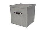 Bigso Texas Closet Storage Box, Grey