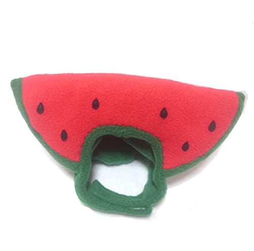 LpRXv XCĴԂ́iXqj (LF39`45cm)