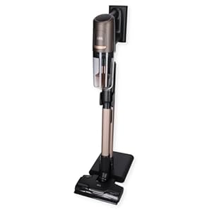 AEG ULTIMATE 8000 Akku-Staubsauger AP81A25ULT