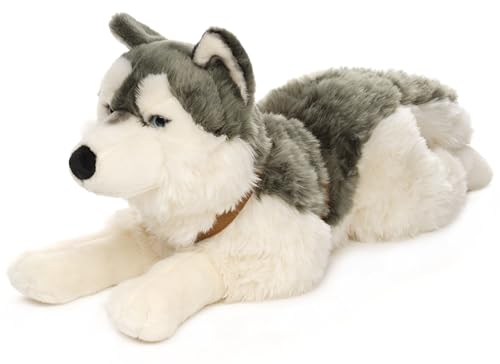 - Husky con stoviglie sdraiato - 62 cm lunghezza - cane di peluche -