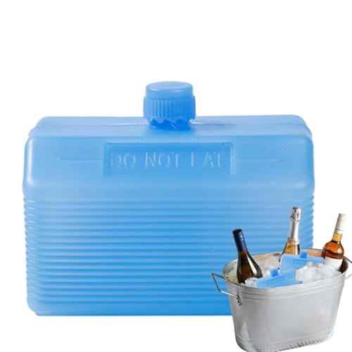 Palaufr acumuladores de frío para cajas de frío - Elemento de refrigeración para nevera - acumuladores de frío portátiles para viajes Picnic Pesca Escuela Hospital Lactancia