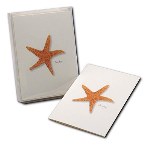 Image of Earth Sky + Water - Sea Star Notecard Set - 8 Blank Cards with Envelopes