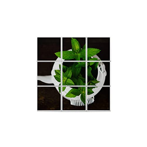 Carreaux céramique menthe verte haut de gamme au design botanique pour revêtement mural