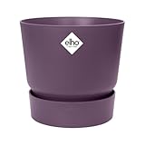 Elho