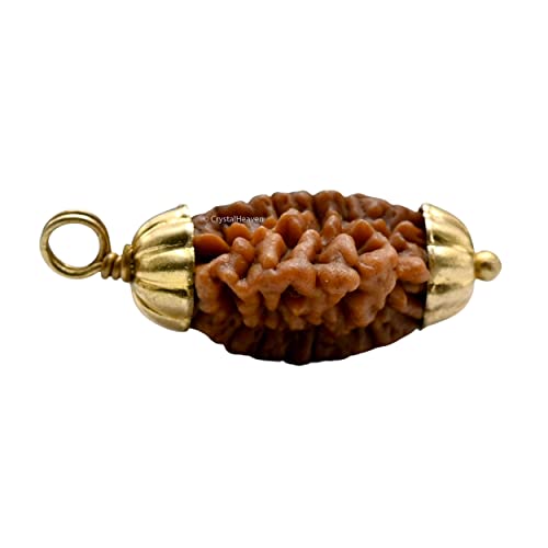 Crystal Heaven Rudraksha Original 2 Mukhi Pendant Necklace for Women Men | Certified Rudraksha with Velvet Pouch (Gold)
