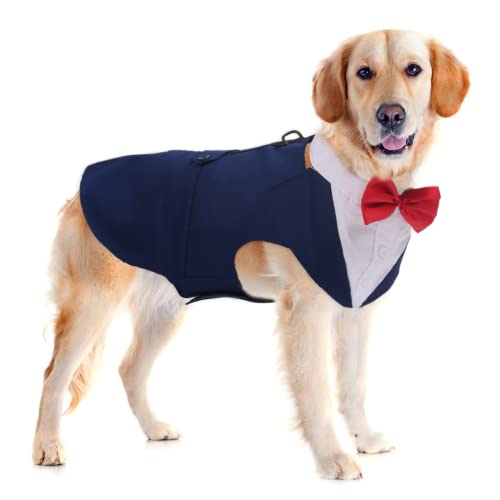 Disfraz Formal Para Perro Traje Smoking Talla Large Azul