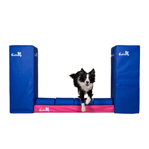 Callieway Turnier Agility Mauer „Bounce Over - Soft“ – alle FCI Sprunghöhen (Fuchsia/blau)