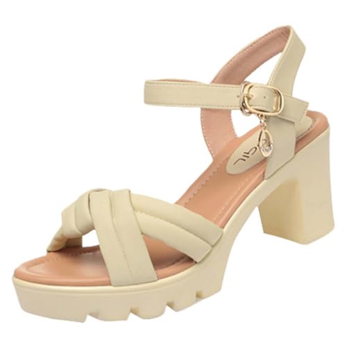 [NGYTOMATO] XgbvT_ T_ fB[X  nCq[ ANXgbv R[q[ IV ₷ r pvX Ȃ  25.0cm (CG[, {̌C̃TCY@, l, l, 23.0 cm