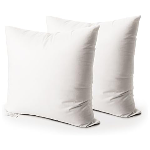 EDOW Throw Pillow Insert, Set of 2 Down Alternative Polyester Square Form Decorative Pillow, Cushion,Sham Stuffer. (White, 20x20) Cover