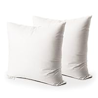 Algopix Similar Product 14 - EDOW Throw Pillow Insert Set of 2 Down