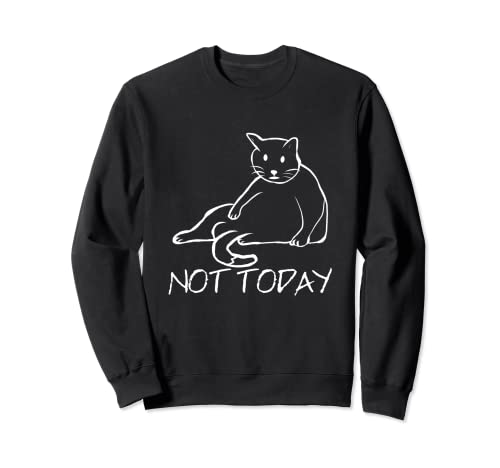 Gato - Gato perezoso - Not Today - Gato lindo divertido Sudadera