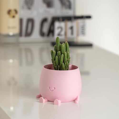 Image of TOPOLA Happy Face Planter, 5.2 Inches Plastic Plant Pot, Self Watering Plant Pot with Drainage Holes for Indoor Outdoor, Succulent Pot, Funny Flower Pot, Sakura