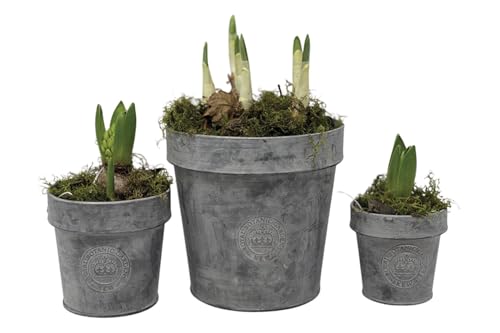 1x Round Zinc Planter - 3 Sizes, Rustic Grey Metal Plant Pot Tub, Kew Gardens Metal Plant Pot, Outdoor Garden Metal Tub, Garden Planter, Kew Gardens Zinc Metal Pot with Rim (Small)