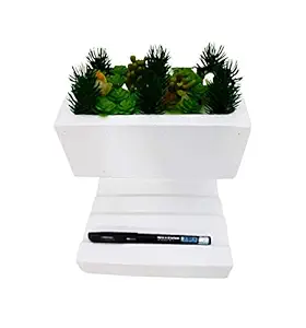 NTC Tiles LLP Concrete Desktop Planter Indoor/Outdoor/Office
