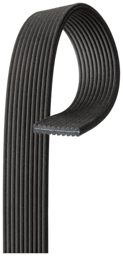 Cinturón serpentino ACDelco 10DK743 para motor de coche paquete de una unidad