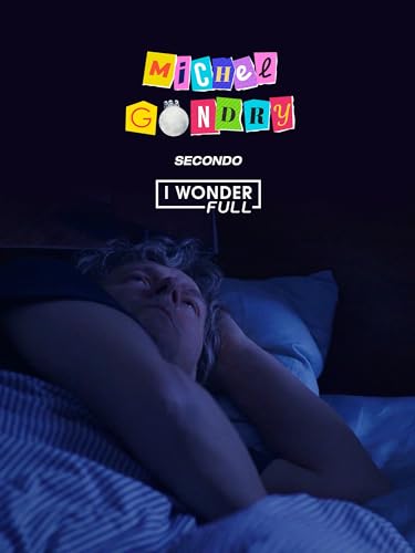  Michel Gondry secondo Iwonderfull