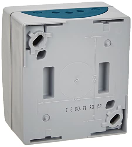 Busch-Jaeger 2601/6 WGL-53 Interruttore a