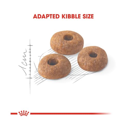 Image of Royal Canin Fit 32 Regular for Adult Cats, 400 Grams, Dry Food, Supports Optimal Nutrient Profile and Healthy Weight