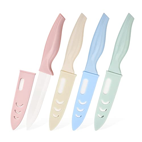 Lomgwumy Fruit Knife, Fruit Knife Set, with Scabbard, Exquisite and Beautiful, Fruit Knives Small is Suitable for Most Vegetables, Fruits and Meat (Pink, Green, Blue, Beige)