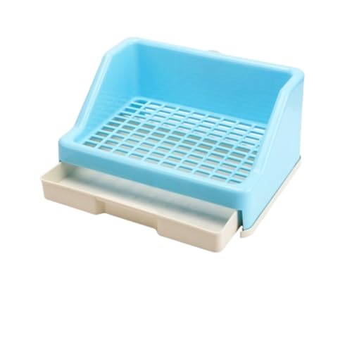 ETM P[W o | MumuElfȒP ^  nX^[  ybgpi  ̂  (u[)