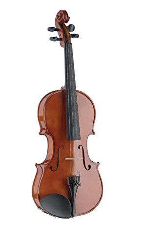 Stagg VN-4/4 L Violin- Buy Online in Kuwait at desertcart.com.kw. ProductId  : 30082404.