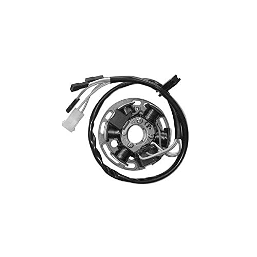 Did 168013 Stator 6 pôles Derbi Senda 50