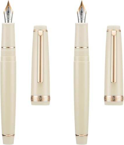 Stylo-plume sans fuite INFRI en résine ivoire pour corriger l'écriture fatiguante