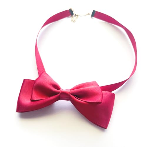 i쎛/yMhjy`[J[b1zVv`[J[{y [^ ߂킢 SX `[J[ RXv ʎY^ nn  ZNV[z (bh)