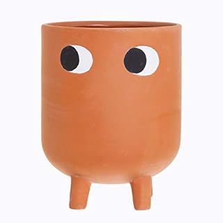Sass & Belle Leggy Terracotta Planter