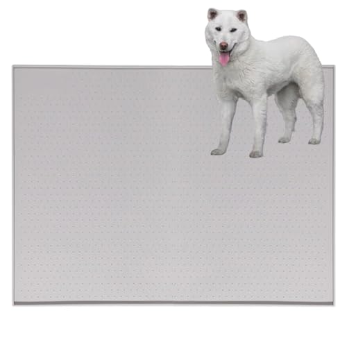 Lifetips IBiKishu Kenj gC}`FX^[eA ybggC}bg VR h ~ 􂦂  L V[gh~ g[p t[Oی ybggC}bg VR}bg ΍ gCV[gŒ