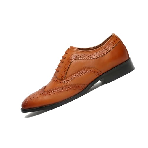 LOUIS STITCH Men's Formal Shoes | Handcrafted European Leather Brogues | Lace-Up Style for Business, Formal (IB-KX0Y-QHOZ)