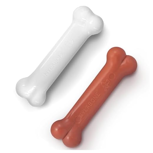 Nylabone Juguete masticable en Forma de Hueso para la higiene Dental de Perros con mordida agresiva, Hueso con Textura, sabores a beicon y Pollo, para Perros Adultos de hasta 16 Kilos 380 g