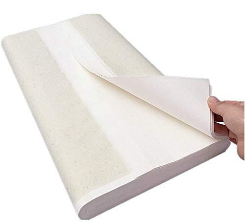 CamDesign Folhas de papel de caligrafia japonesa 100 peças, papel de arroz coreano Xuan para pintura