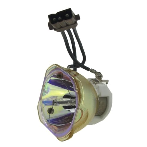 Accessoire lampe EPSON ELPLP46 V13H010L46 pour EB-500KG EBG5200 G5300