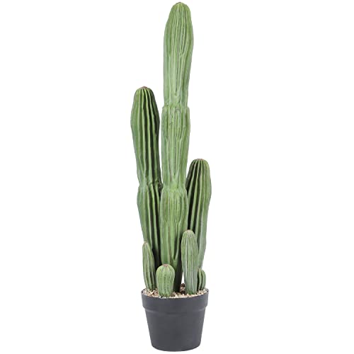 10 Best Faux Tall Cacti That Will Add Desert Vibes to Your Home Furry