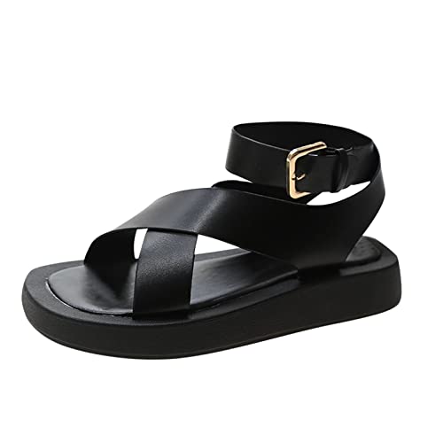 [Ramiter] tbg { T_ fB[X ₷  C V[Y r[`T_ 킢 [q[  T_ fB[X 傫 S  傫TCY t@bVT_  r ItBXT_ fB[X