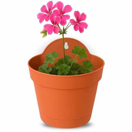 Macetero con Soporte de Pared, Maceta Redonda plástico, Tiesto Colgar Flores, Fabricado en Polipropileno, Recipiente Pared para Flores, 22 cm diámetro x 13.5 cm Base x 25 cm Alto, Terracota