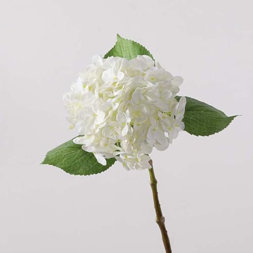 z tFCNt[ A  AWTC ԑ 3{ zCg A[eBtBVt[ { k CeA Ȃ X^CbV  蕨 v[g ̓ JXj 