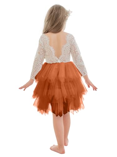 Flower Girl Dress Lace/Tulle Long Sleeves Dress for Girls Tutu Toddler Dress Birthday Wedding First Communion