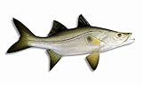 Handpainted Snook Fish Replica Wall Mount Decor Room Ornament Plaque 19'