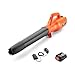 Price comparison product image Flymo 18V EasiClear 100 Cordless Garden Blower Kit - With 18V POWER FOR ALL Battery and Charger Included, For Clearing Patios and Gardens of Leaves, Controllable Airflow, Variable Speed