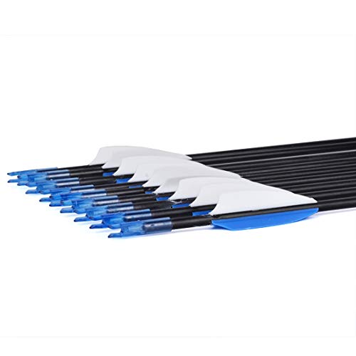 CUPID 31\" Training Arrows-Archery Practice Target Arrows with Durable Shaft Blunt Tip for Kids Youth or Beginners on Recurve Bow Long Bow (12pcs Arrows, Blue)